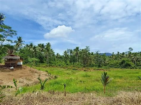 lot for sale in philippines|Land for Sale in the Philippines .